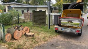 Häcksler-Anhänger und Stammholz – Entsorgung durch Baumpflege Hahm