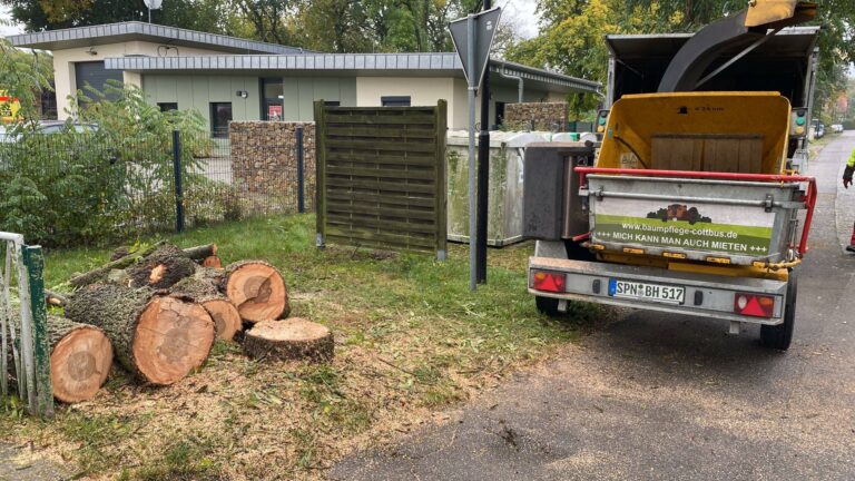 Häcksler-Anhänger und Stammholz – Entsorgung durch Baumpflege Hahm