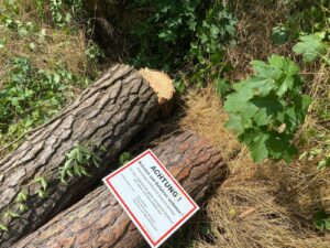 Gefällter Kiefernstamm mit Warnhinweis – Baumfällung Cottbus