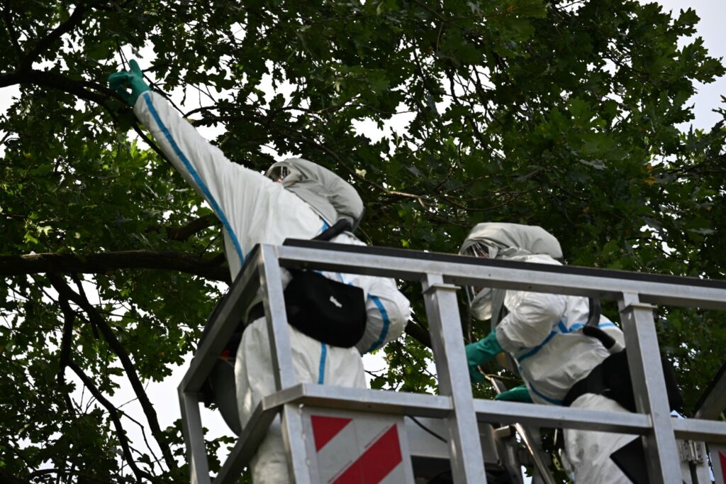 Team von Baumpflege Hahm im Schutzanzug beim Absaugen eines EPS-Nests