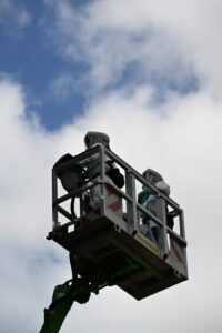 Hubarbeitsbühne unter blauem Himmel – Eichenprozessionsspinner-Einsatz