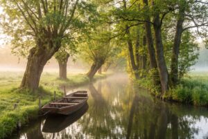 Spreewald-Fließ mit Weiden – Einsatzgebiet Baumpflege Hahm