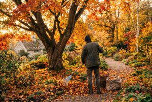Herbstlaub im Garten – Gartenarbeit im Herbst