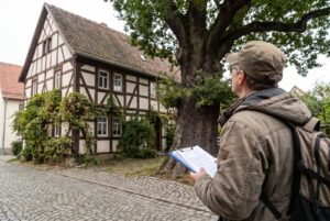 Fällgenehmigung: Unterlagen vor einem Stadtbaum