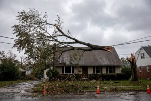 Abgebrochener Ast über einem Hausdach nach Sturm